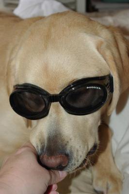 ~~Riddick with his new grown-up Doggles~~